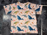Ocean animals