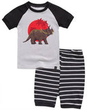 Summer Dino Short Sleeve Pajama Set