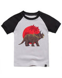 Summer Dino Short Sleeve Pajama Set