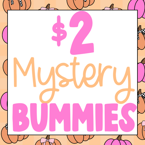 $2 mystery bummies