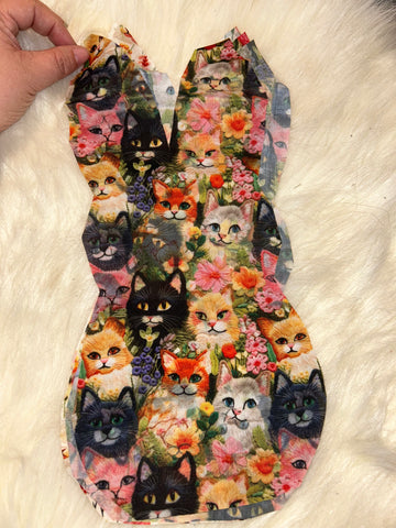 Lots of cats flawed